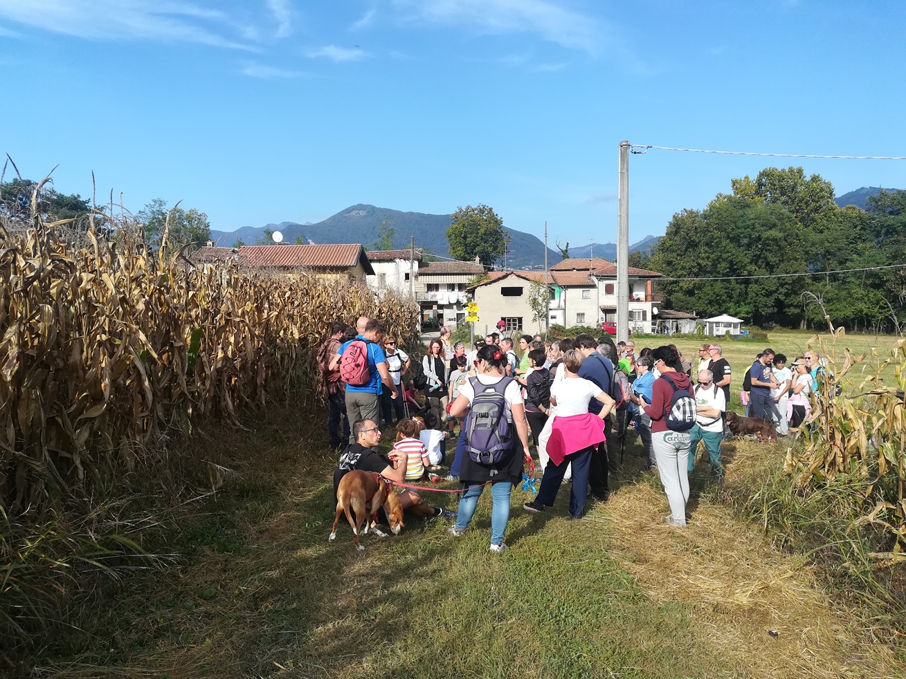 IMG_20181007_160235